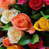 Therese Bargman's photo