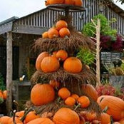 Cheryl Wright Riley's photo