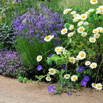 Hampton Court Flower Show 2010