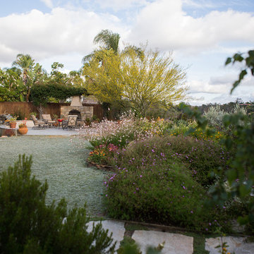 Xeriscape Landscape  - Lush Green with Low-Water Plants