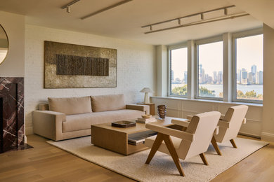 Living room - contemporary living room idea in New York