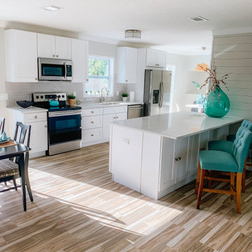 Lithia Full-Home Renovation