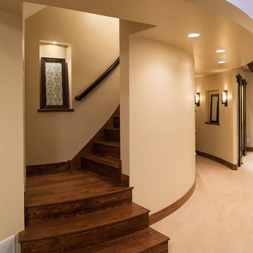 Chaska Luxury Lower Level