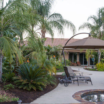 Tropical Paradise in Vista
