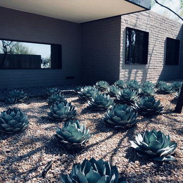 Modern Scottsdale Estate with Amazon Alexa Voice Control Automation
