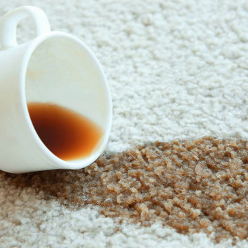 Carpet Cleaning Pros Pretoria
