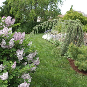 Textural study in plants and natural elements