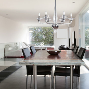 The Stella Collection