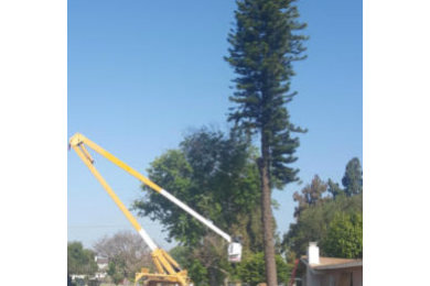 Our Work