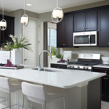 Amethyst model home in Colorado