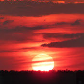 Kim Brown's photo