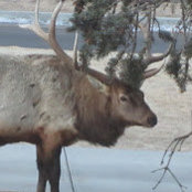 Rob Price's photo