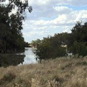 Wade Maxworthy's photo