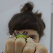 Carina Shoshtary's photo