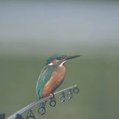Nick Deakin's photo