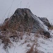 Foto von Cynthia Malins