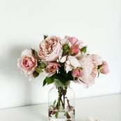 Lexz's photo