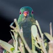 Max Gilbert's photo