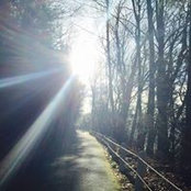 Toni Wall's photo