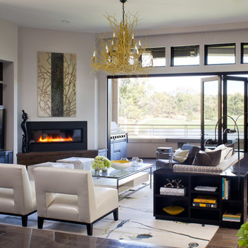 Contemporary Haven