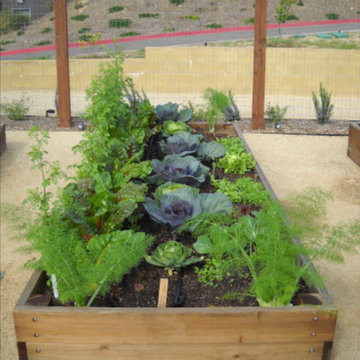 Urban Farms