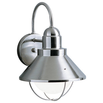 Seaside 14.25" Outdoor Extra Large Wall Light in Brushed Nickel