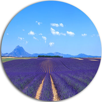 Lavender Blooming Fields And Trees, Landscape Disc Metal Wall Art, 23"