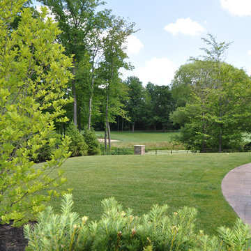 View into Backyard