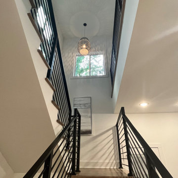 Shirley Street - Modern Contemporary Design