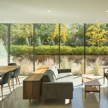 Energy Efficient Modern Home