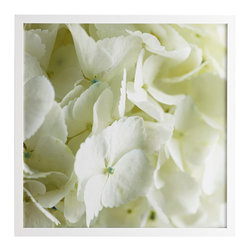 ANNABELLE HYDRANGEA WALL ART &ndash; DETAILS - Prints And Posters