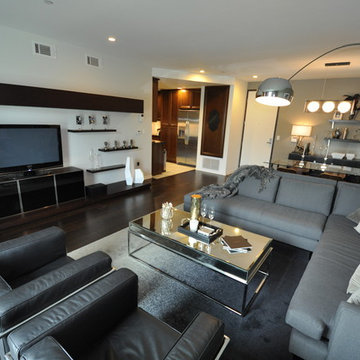 Contemporary Living Room