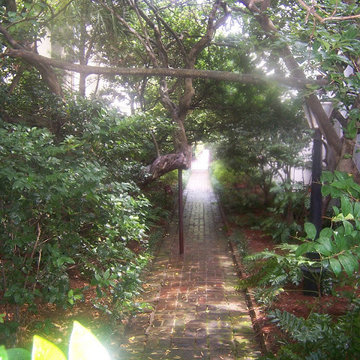 Landscaping & Design Portfolio