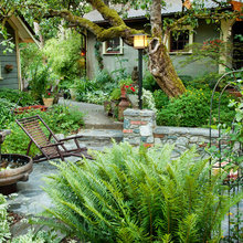 SSI Side Garden (pond Area)