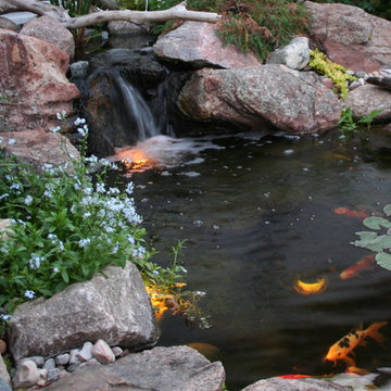 Koi Ponds and Water Gardens