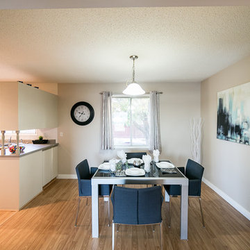 Transitional Edmonton House Transformation