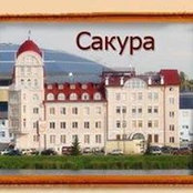 Сакура Офисs foto