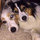 judy_lietzke