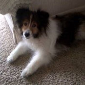 Joyce Boyd's photo