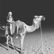Sam Savile's photo