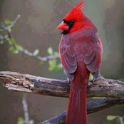 Connie MacLean's photo