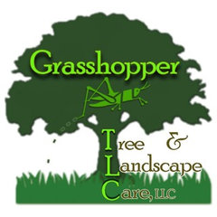 Grasshopper TLC