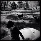 Laura Walkner's photo