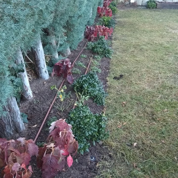 Dando color a viejos jardines