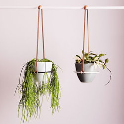 Saturn Hanger | Ivy Muse - Hooks & Hangers