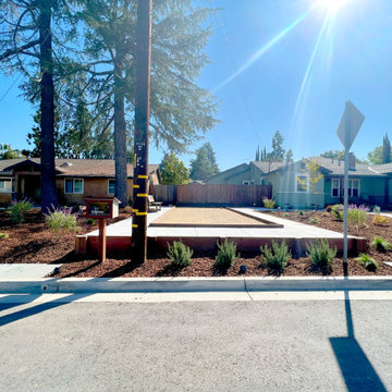 Neighbors Combine Front Yards (Bocce Ball Court and Low-Maintenance Landscape)