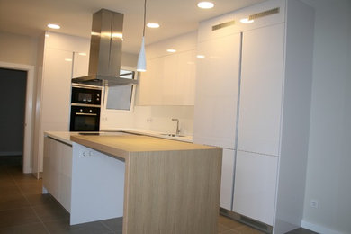 This is an example of a contemporary kitchen in Other.