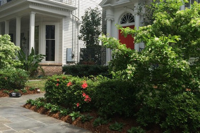 This is an example of a traditional landscaping in New Orleans.