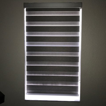 Zebra Illusion Shades - Wilton Manors, Florida