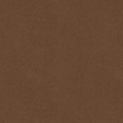 PaperStone - Kitchen Countertops